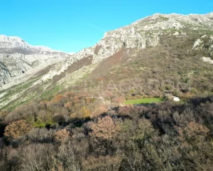 real-estate-for-sale-in- montenegro-with-sea-view