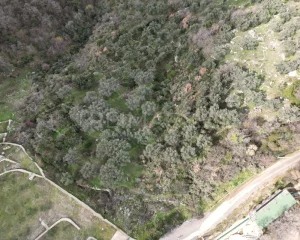 real-estate-for-sale-in- montenegro-with-sea-view