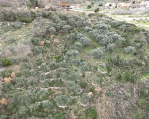 immobilien-zum-verkauf-in-montenegro-mit-meerblick