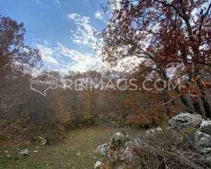 Reimags Immobilien in Montenegro