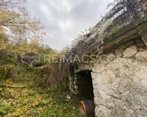 Reimags Immobilien in Montenegro