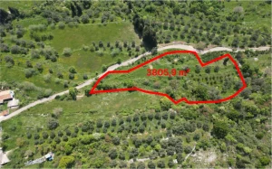 immobilien-zum-verkauf-in-montenegro-mit-meerblick