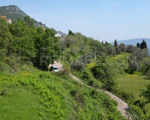 immobilien-zum-verkauf-in-montenegro-mit-meerblick