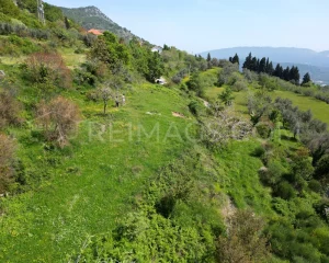 immobilien-zum-verkauf-in-montenegro-mit-meerblick