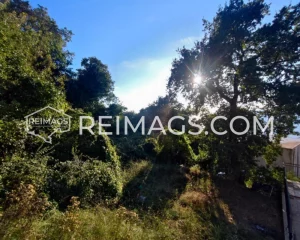 Real estate for sale in Sutomore