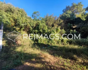 Immobilien zum Verkauf in Sutomore