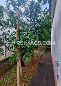 legal-haus-kaufen-in-bar-montenegro