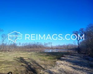 Level land plot with small trees by the water - Ideal spot for your dream property in Ulcinj, Montenegro.