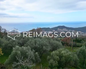 Panoramic view of the sea and hills from the plot for sale in Dobra Voda, Bar.