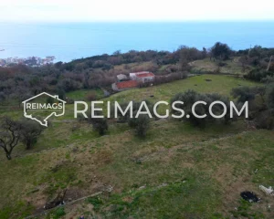 Flaches grünes Grundstück mit Olivenbäumen und Meerblick in Dobre Vode, Montenegro, zum Verkauf