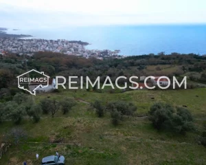 Große flache grüne Fläche für den Bau geeignet mit Olivenbäumen und Meerblick in Dobre Vode, Montenegro, zum Verkauf