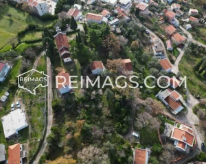 Großes Grundstück mit Bäumen und Straße - Hervorragende Immobilie für den Bau in Montenegro