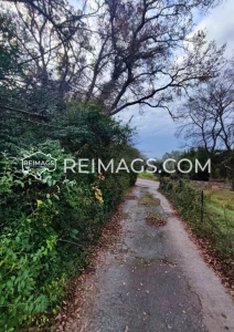 Asphaltstraße zum Grundstück - Grundstück zum Verkauf in Bar, Montenegro