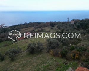 Large real estate plot in Dobre Vode, Montenegro, with sea view for sale