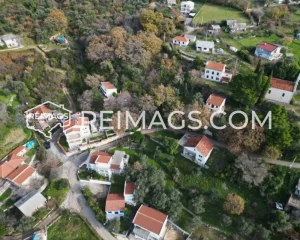 Family houses in the real estate neighborhood - Spacious land with trees for sale