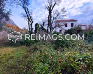 "Neighbor's house and tree on the property - Tranquil real estate in Susanj, Montenegro