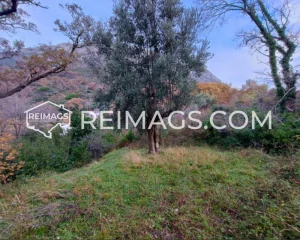 Beautiful green land with mountain and sea view - Real estate in Montenegro