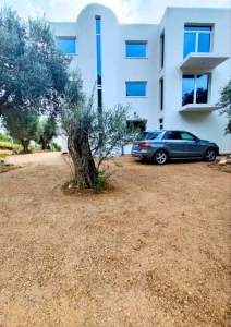 Luxusvilla zum Verkauf mit Olivenbäumen auf dem Grundstück, großem Parkplatz und Pool im Erdgeschoss in Sutomore, Montenegro