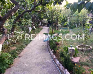 Real estate in Bar, house with sea view