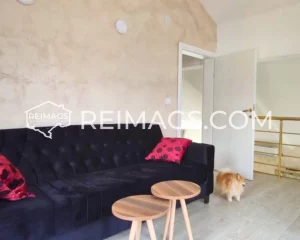 Real estate in Bar, Montenegro, house with pool