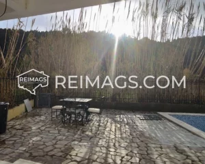 Real estate in Bar, Montenegro, house with pool