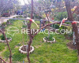 Immobilien in Bar, Haus mit Meerblick