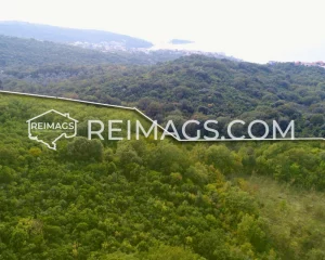 Large land with trees and sea view - Utjeha, Montenegro real estate with spacious surroundings