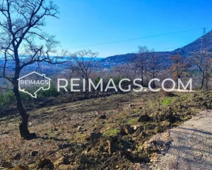 Real estate sales in Montenegro, Bar