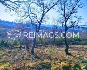 Real estate sales in Montenegro, Bar