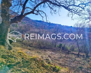 Real estate sales in Montenegro, Bar