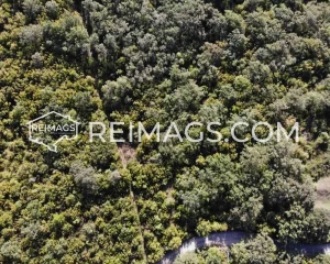 Land for sale in Bar with sea view