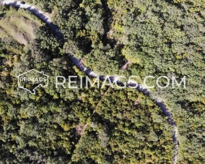 Land for sale in Bar with sea view