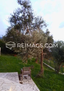 Immobilien in Stari Bar mit Meerblick