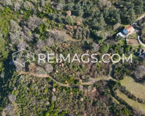 Immobilien zum Verkauf mit Meerblick in Montenegro