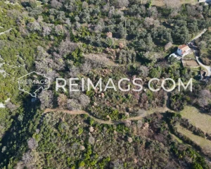 Immobilien zum Verkauf mit Meerblick in Montenegro