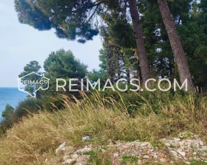 Investment in Montenegro by the sea