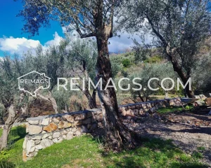 Real estate in Bar for sale