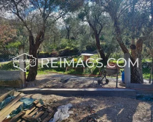 Real estate in Bar for sale