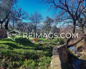 Real estate in Bar for sale