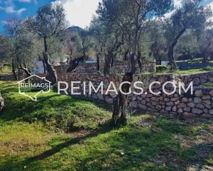 Real estate in Bar for sale