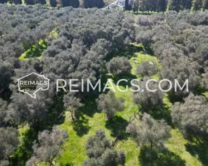 Real estate investments in Ulcinj, Montenegro