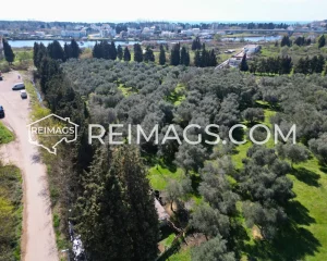 Real estate investments in Ulcinj, Montenegro