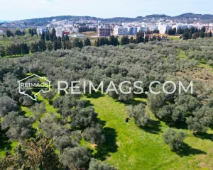 Real estate investments in Ulcinj, Montenegro