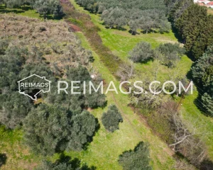 Real estate investments in Ulcinj, Montenegro