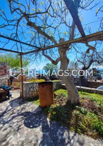 Real estate for sale in Montenegro sea view