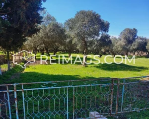 Immobilieninvestitionen in Ulcinj, Montenegro