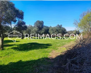 Immobilieninvestitionen in Ulcinj, Montenegro