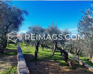 Immobilien in Bar zum Verkauf