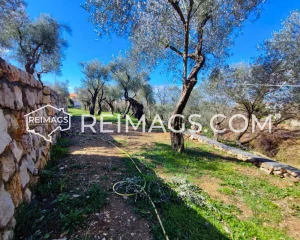 Immobilien in Bar zum Verkauf