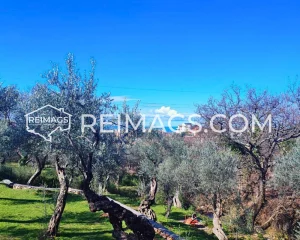 Immobilien in Bar zum Verkauf